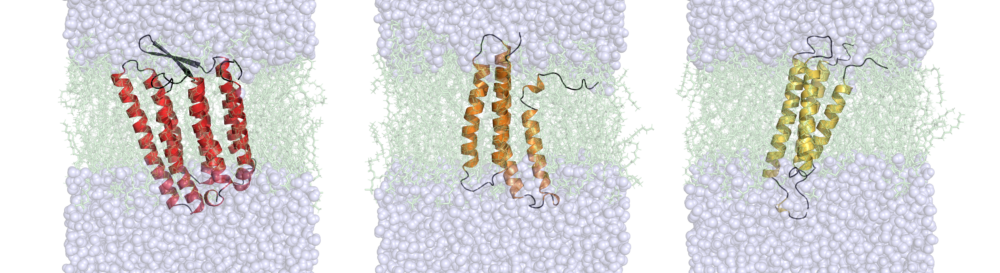 Lindert Lab Research 2