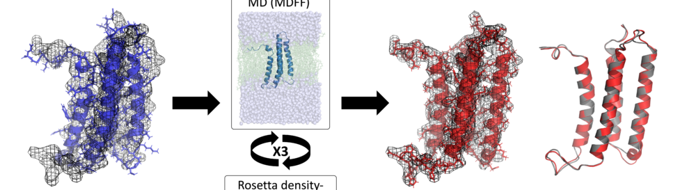 Lindert Lab Research image 3