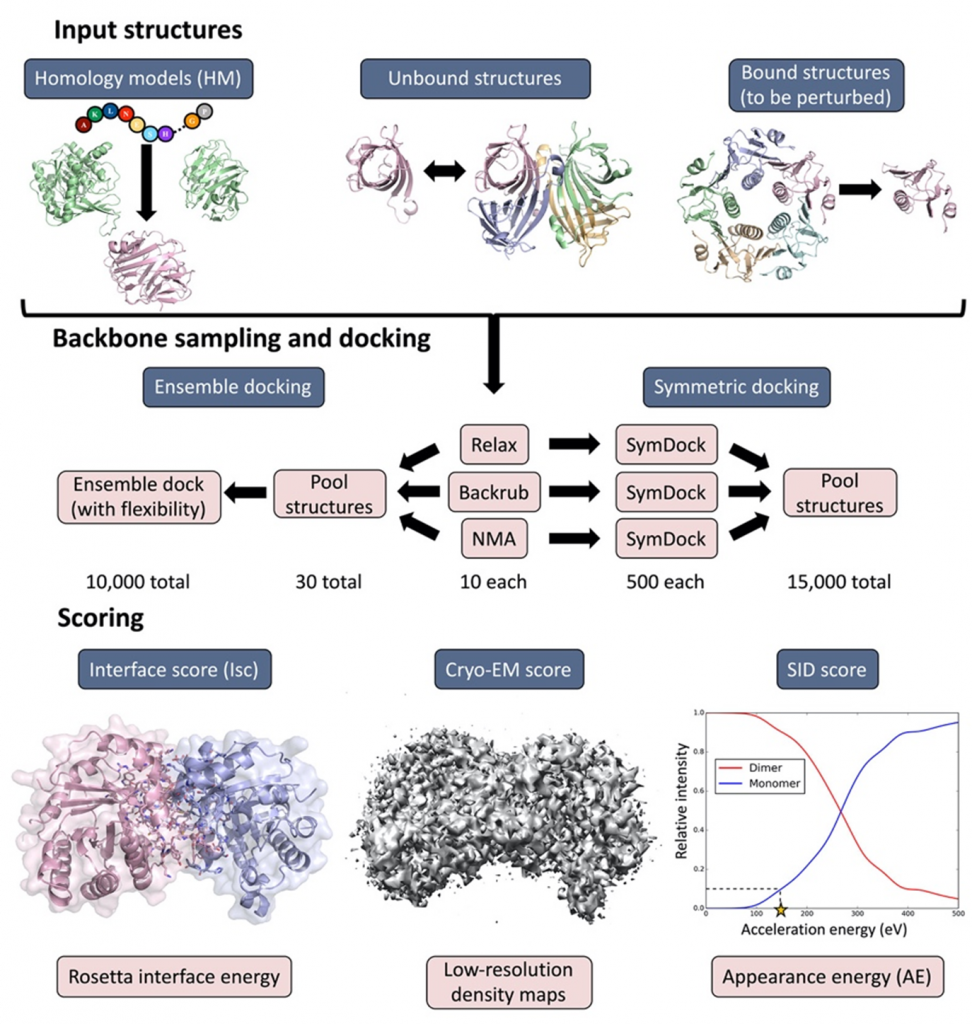 UCLA Chemistry and Biochemisty - Prof Lindert Cryro-EM research
