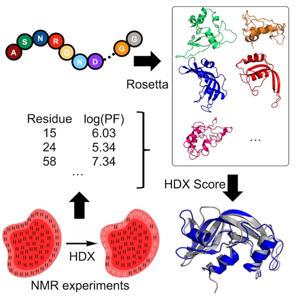 UCLA Research by Prof. Lindert using NMR
