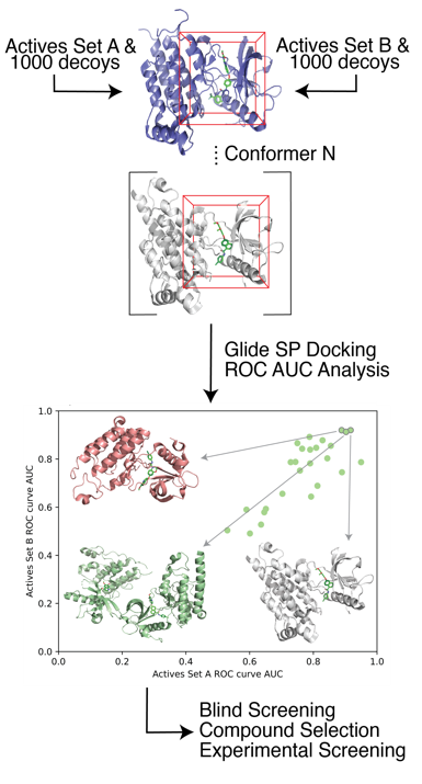 UCLA Lindert Lab - Cancer Research