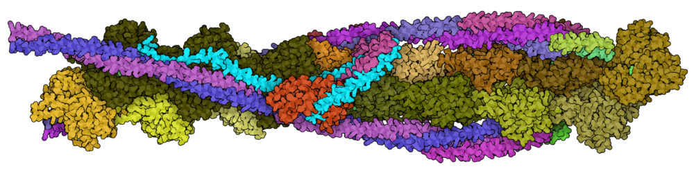 UCLA Lindert Lab